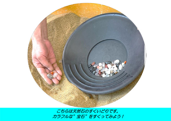 すくい採り体験コーナー